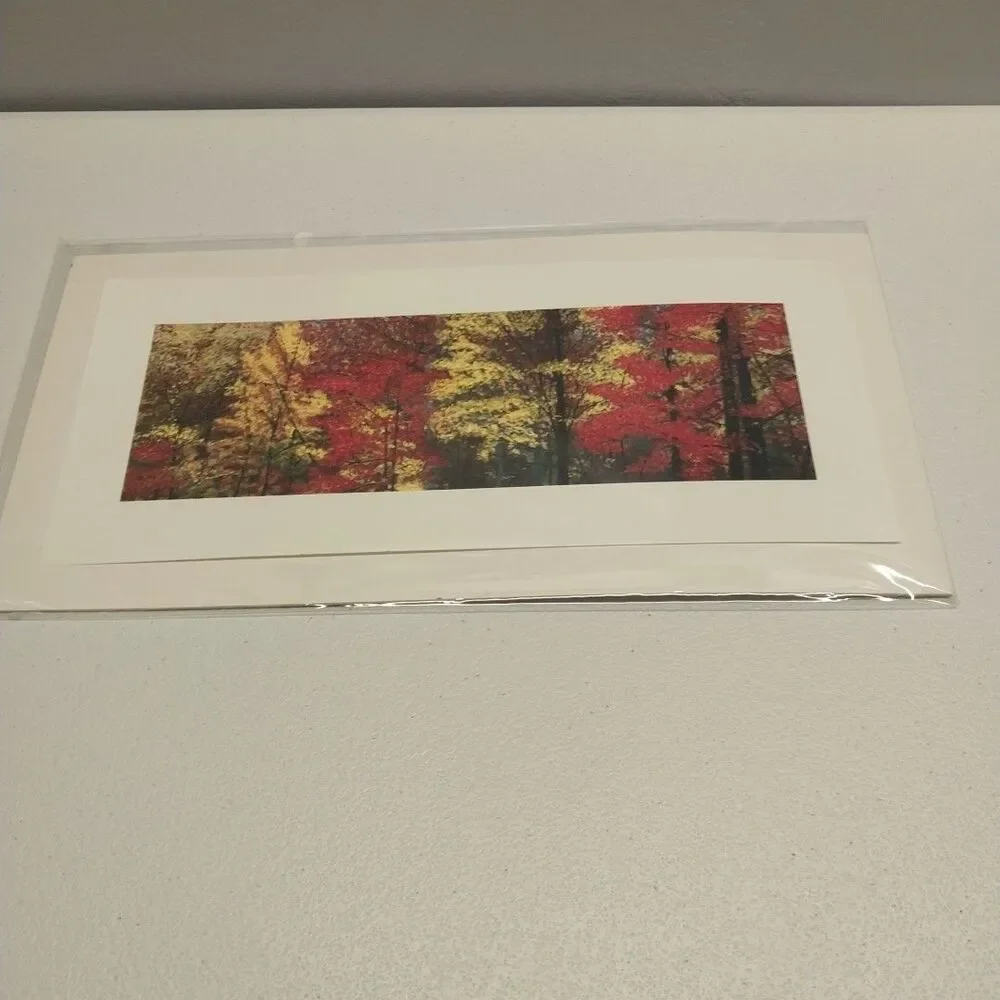 George Burr Autumn Trees Print 12x6 Panoramic Fall Landscape Matted